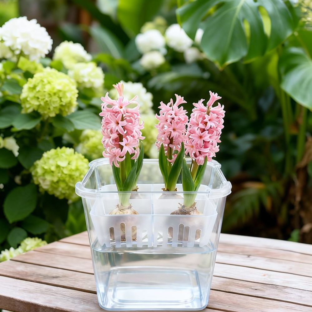 Vase Decor - 튤립과 백합을 심을 수 있는 투명한